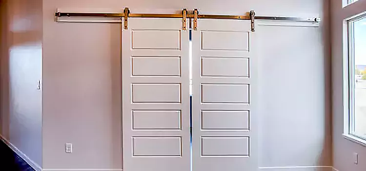 Glass Barn Door with Installation Hardware Kit North Potomac