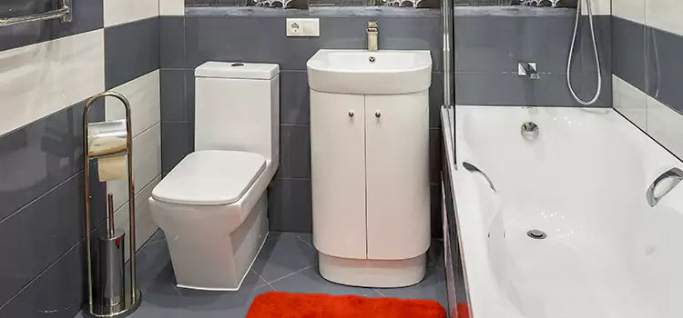 Hansgrohe Shaving Mirror North Potomac